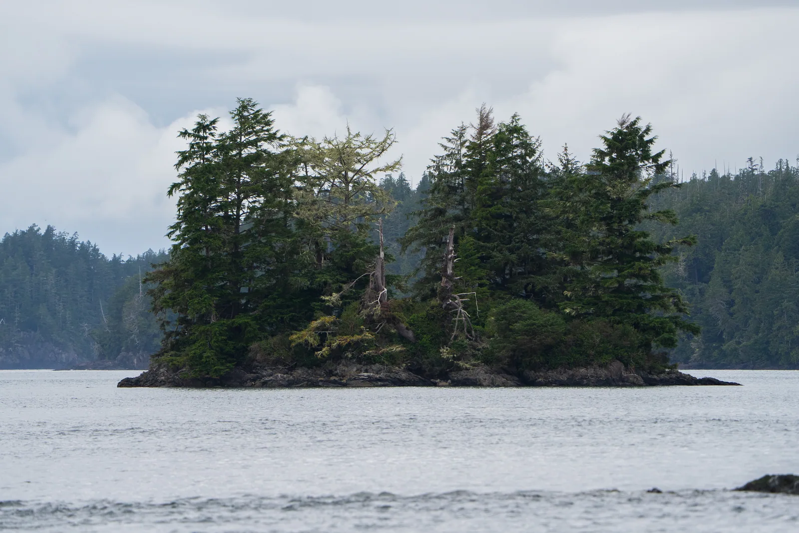 Kleine bewaldete Insel in den Broken Islands