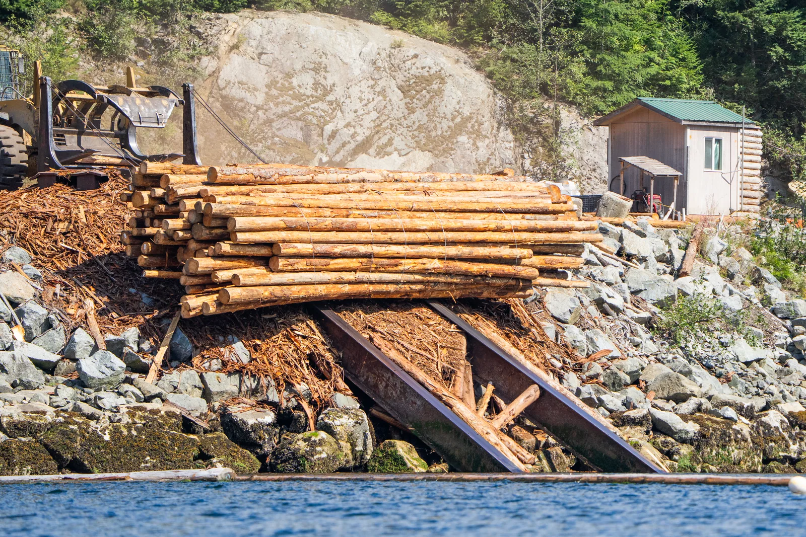 Gebündelte Baumstämme am Ufer des Beaver Inlet