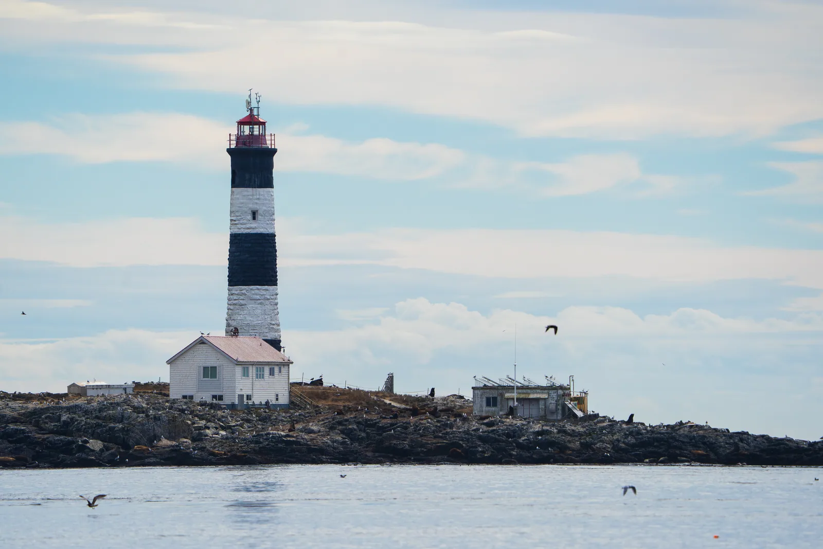 Der Leuchtturm von Race Rocks vor Victoria